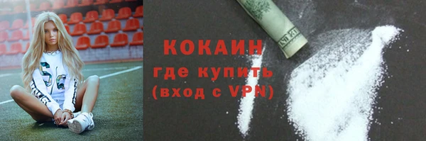спайс Ельня